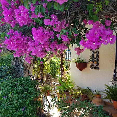 Luxury Costa Blanca Sea View * Foyes Blanques